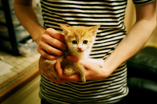 特奥末节接管比赛,那不勒斯争冠战险胜尼斯,意甲悬念再起