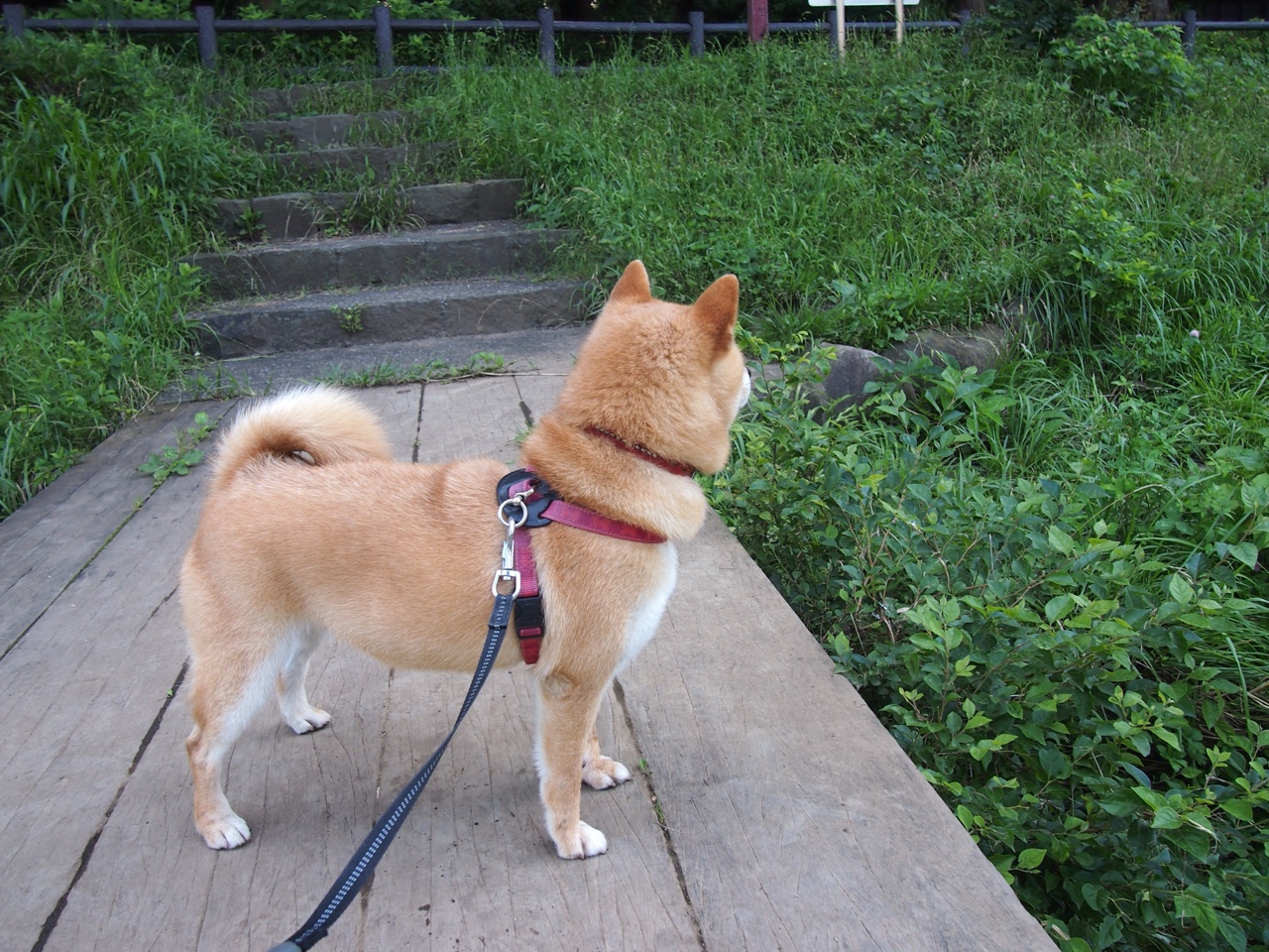 数据全面爆炸！詹姆斯末节狂飙，北京队逆转广东队带走胜利